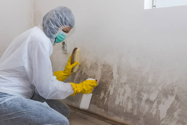 Forensic Mold Investigation in Spring Lake, NC