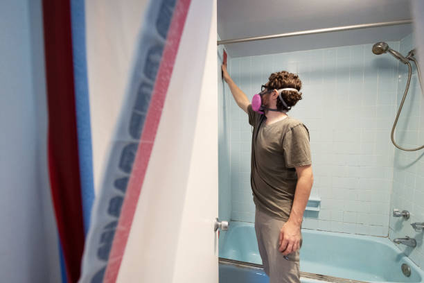 Reliable Spring Lake, NC Mold Removal Solutions